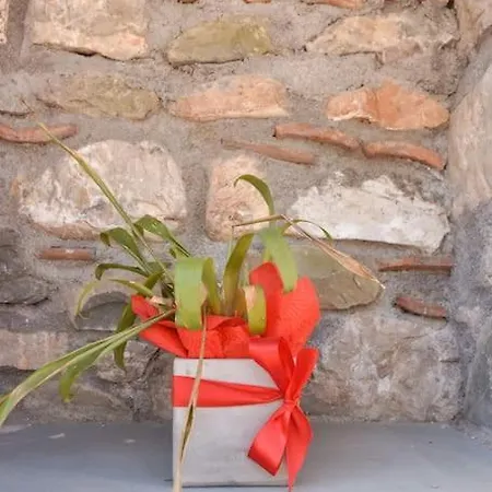 το πατρικό του σταύρου. *