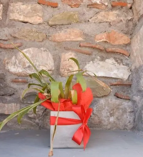 το πατρικό του σταύρου. *